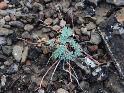 Крым, Судак, горы, природа, море