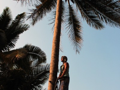 За кокосами