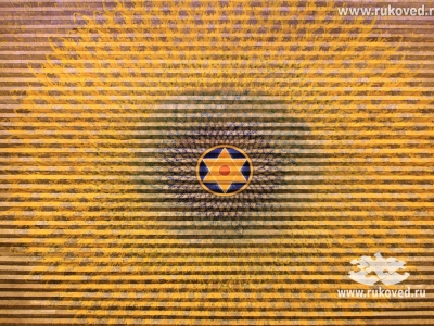 Выставка в международном аэропорту Мумбаи